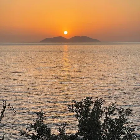 Rina At Aquamarine *